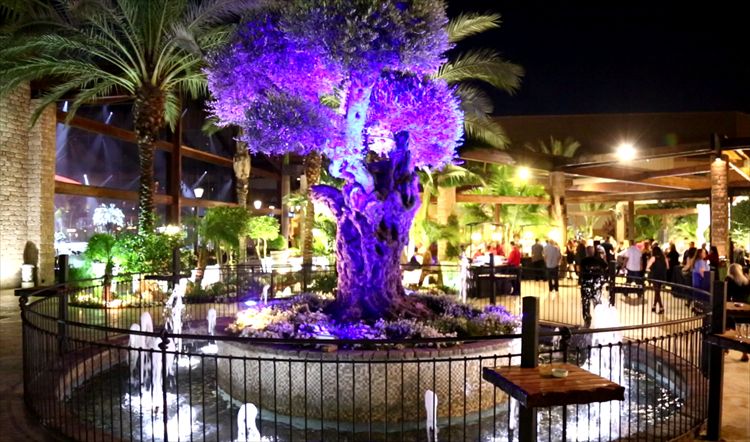 כל הבמה שלה: עדן בן זקן מרימה חתונה 8