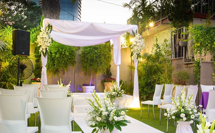 הזרקור: גן הגפן 5