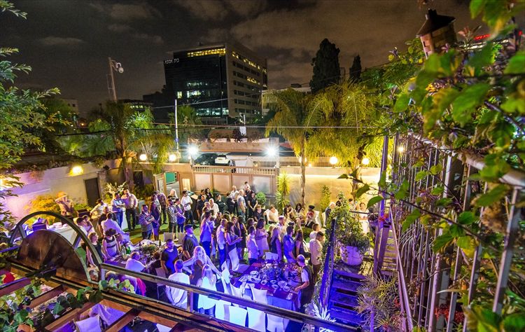 הזרקור: גן הגפן 8