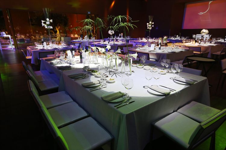 כלה ביום: מורן זקן 7