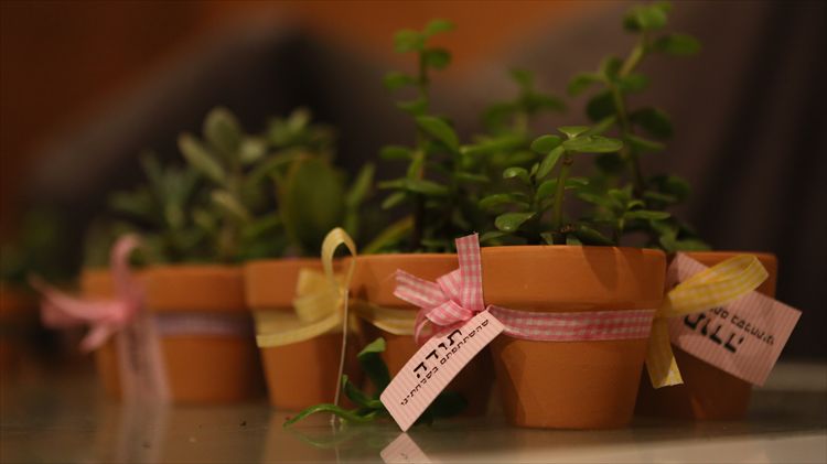 כלה ביום: מורן זקן 12