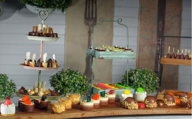 הזרקור: גן הגפן 4