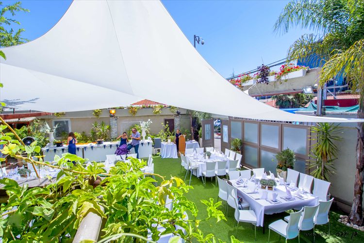 הזרקור: גן הגפן 3