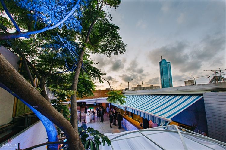 הזרקור: גן הגפן 9