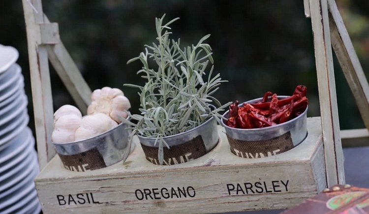 הזרקור: עין חמד 4