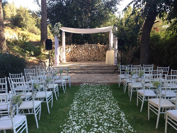 הזרקור: עין חמד 5