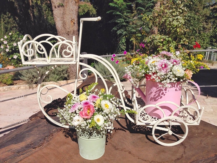 הזרקור: עין חמד 6