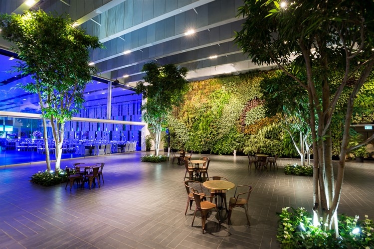 יתרונות לחתונה במודיעין והסביבה 2