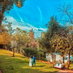 הזרקור: עין חמד