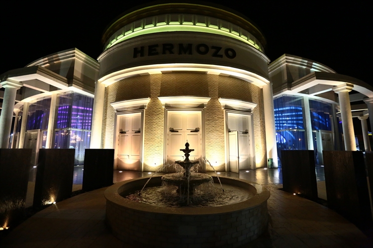 החתונה של הילה שלום וליאור בוסקילה 12