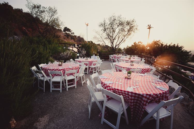 החתונה של אורית גלבמן ויונתן קנסקביץ' 8