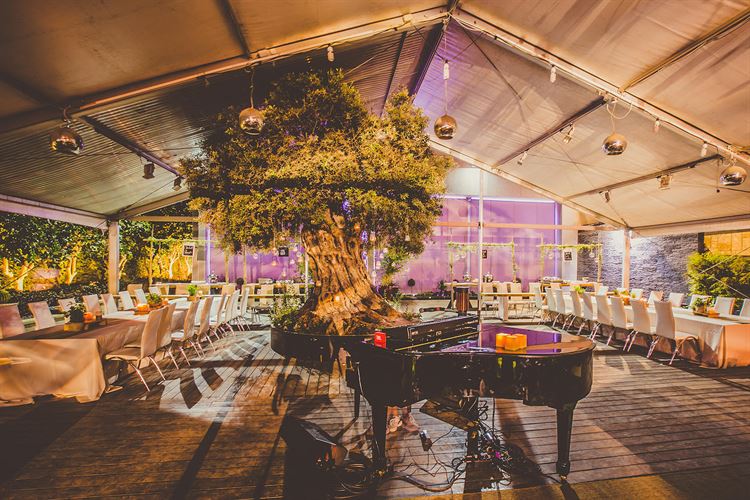 חוויה בלתי נשכחת, בית לאירועים אורבניים ברעננה (צילום: יח