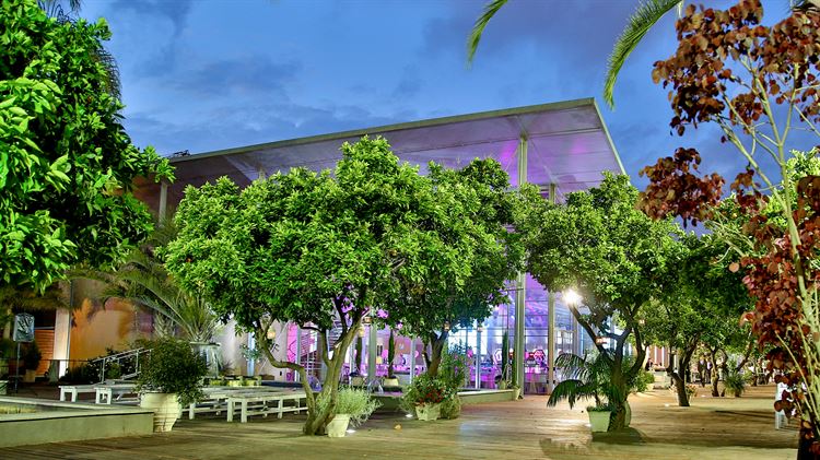 סוד הטבע: איך להרים חתונה באווירה כפרית? 8