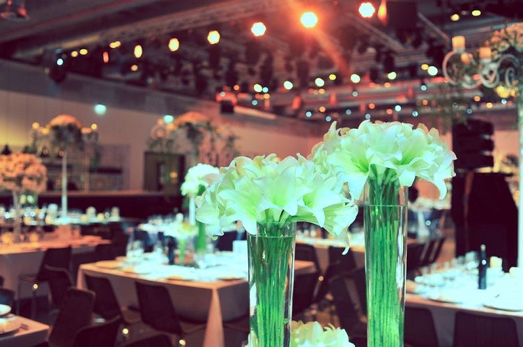 הזרקור: מתחם האירועים סיטרוס 8