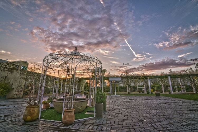 הזרקור: מתחם האירועים סיטרוס 13