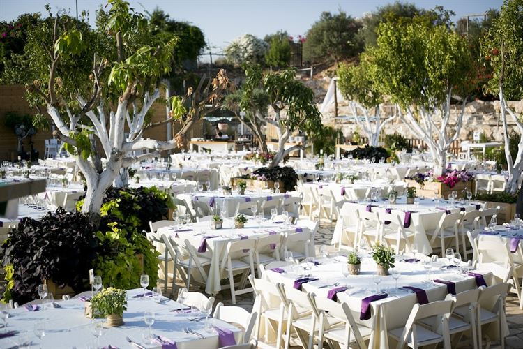 גני אירועים באווירה פסטורלית שכדאי שתכירו 8