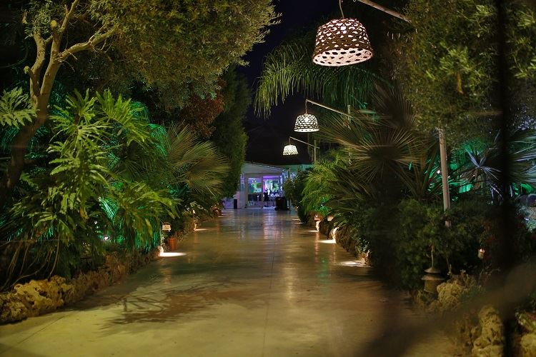 הזרקור: מתחם האירועים לילות קסומים 17