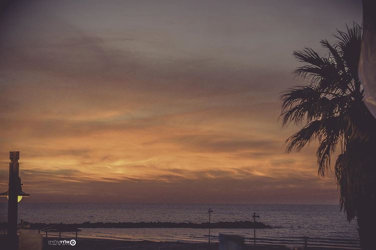 המקום המושלם לחופה על הים 17