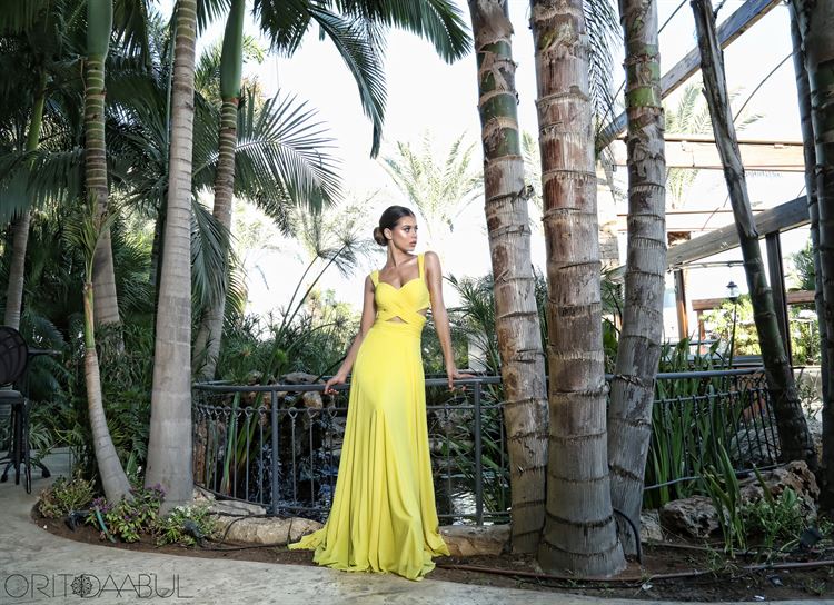 נסיכה ליום אחד: שמלות ערב נוטפות גלאם 11