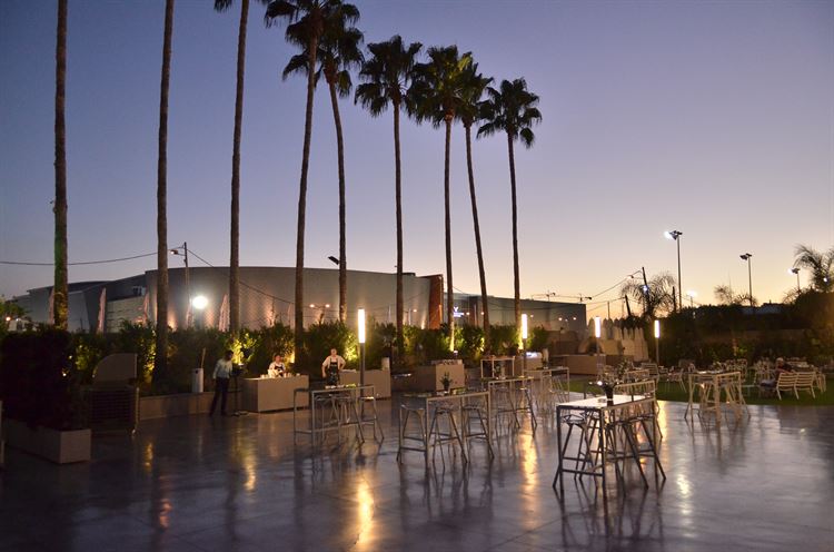 החתונה של שחף בוקטוס ויניב הרשקו 14