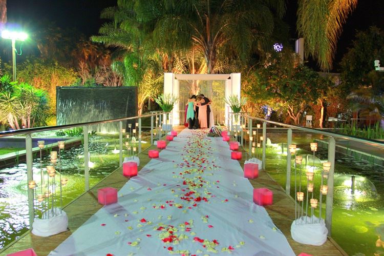 החלום הרטוב: חתונה על המים 2