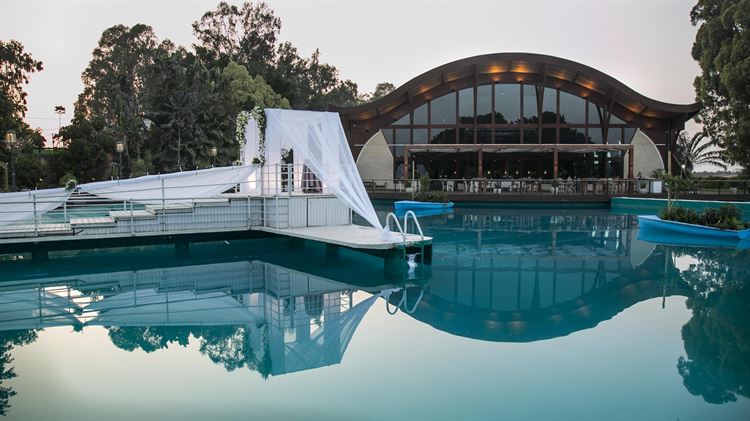 החלום הרטוב: חתונה על המים 4