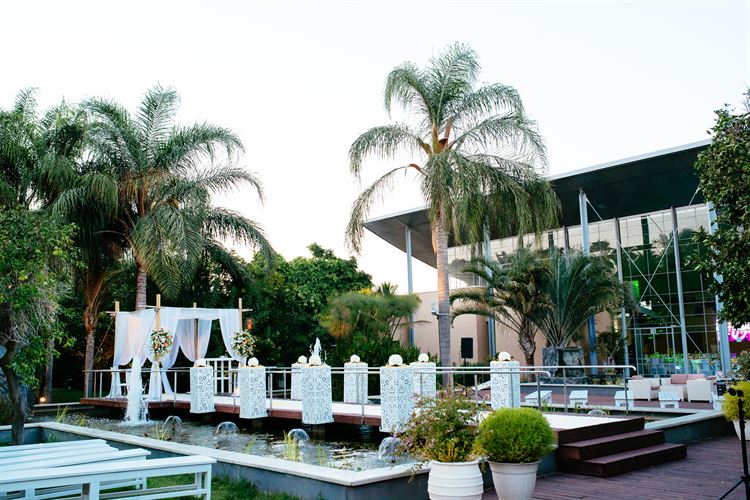 החלום הרטוב: חתונה על המים 11