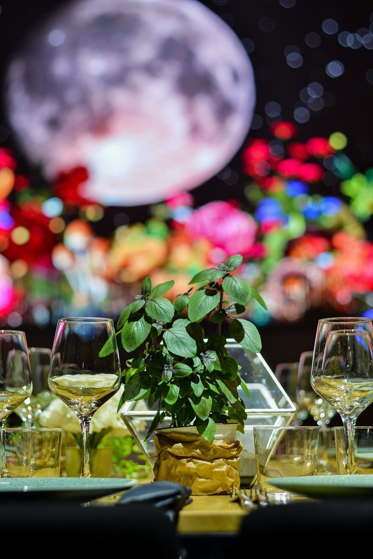 הזרקור: מתחם האירועים לארה 15