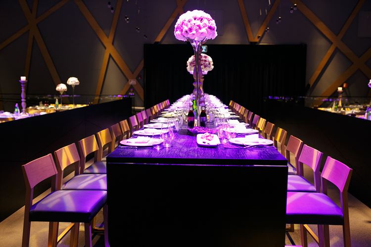 החתונה של בר זכות ועידן מיימון 16