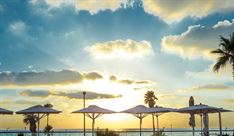 על שפת הבריכה - דייויד אינטרקונטיננטל