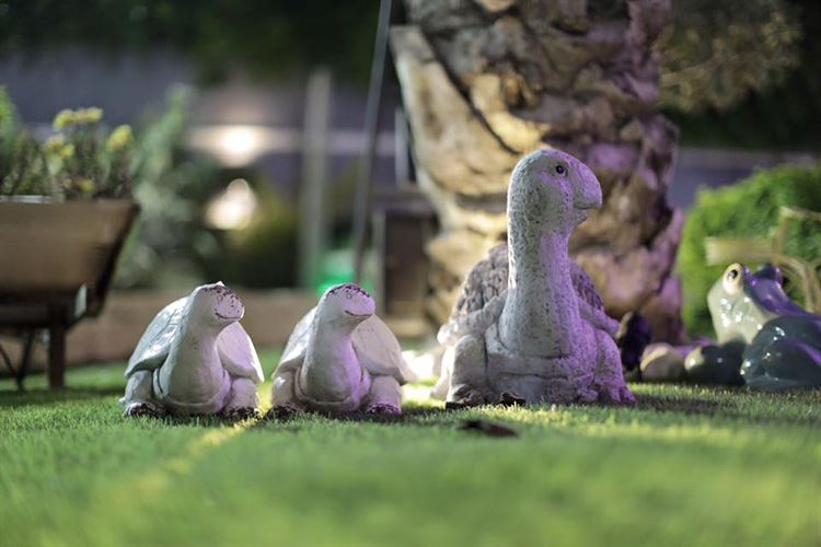 הקסם של אזור השרון: מתחם ויה קסליו 8