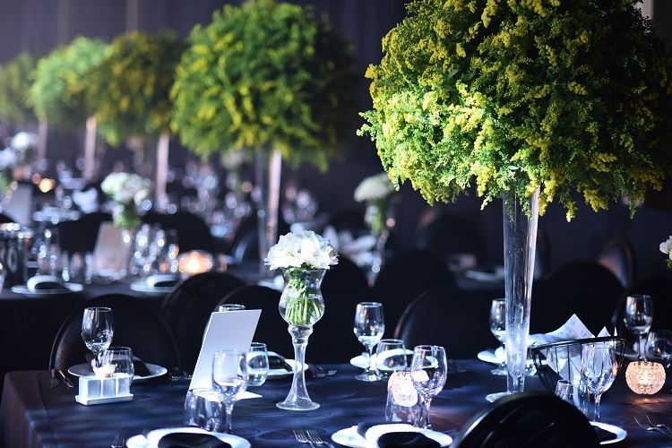 הזרקור: מתחם האירועים טרויה 2