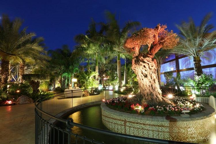 הזרקור: מתחם האירועים טרויה 15