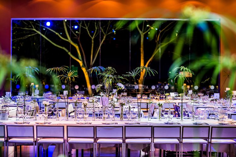 מתחמי אירועים מומלצים לחתונה חורפית קסומה 8