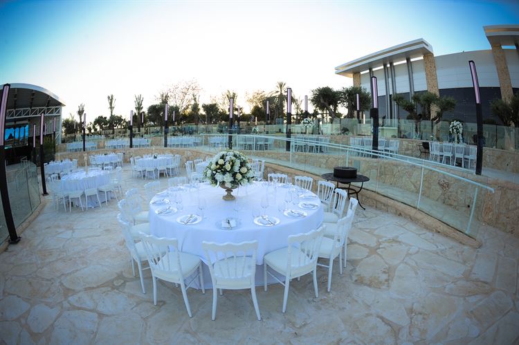 עיצוב של אימפריה: גני אירועים בסגנון רומי 2