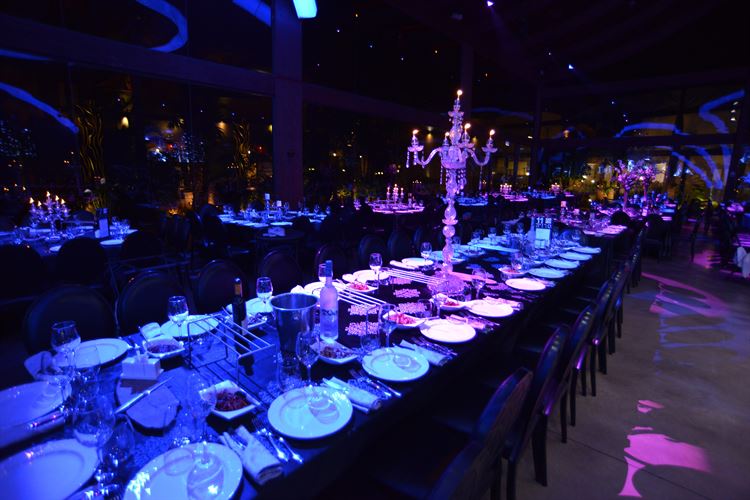 נסיכה אמיתית: הכלה שהרימה אירוע אגדי 12