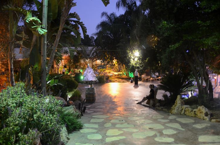 תתמכרו לוינטג': מתחמי אירועים באווירה נוסטלגית 10