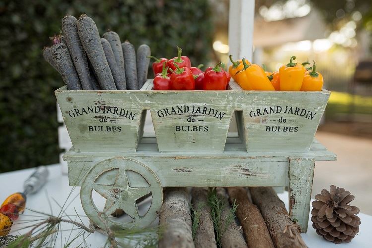 הזרקור: גן האירועים משכית 5