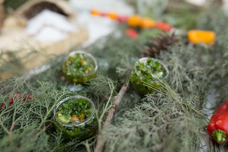 הזרקור: גן האירועים משכית 9