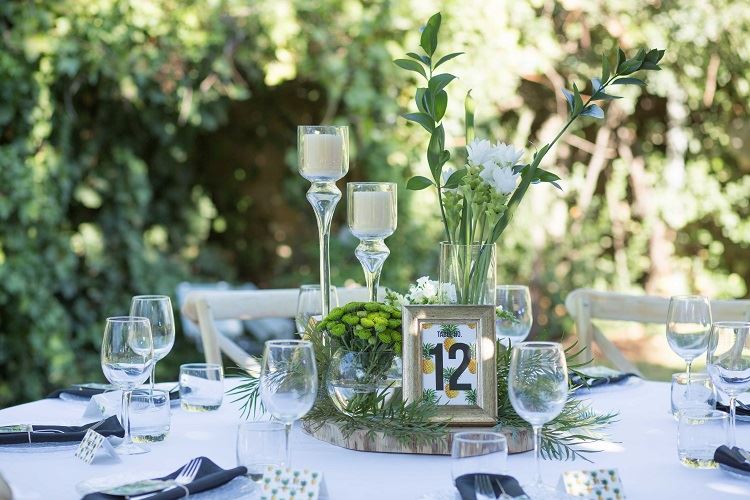 הזרקור: גן האירועים משכית 19