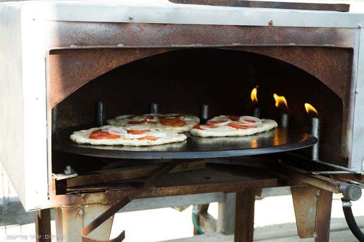 בר מצווה בחיק הטבע 2