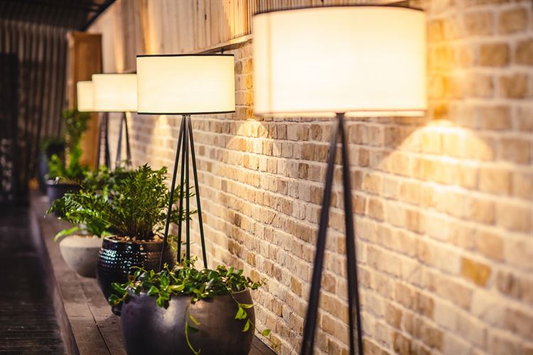 ללקק את האצבעות: התפריט החדש של 'שמים וארץ' 10