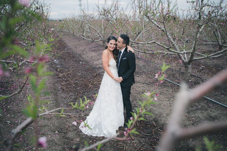 הזוג שארגן את החתונה הכי צבעונית שתראו 7