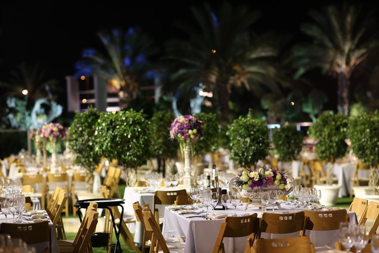 העשיריה המנצחת: מתחמי האירועים המומלצים בדרום 17