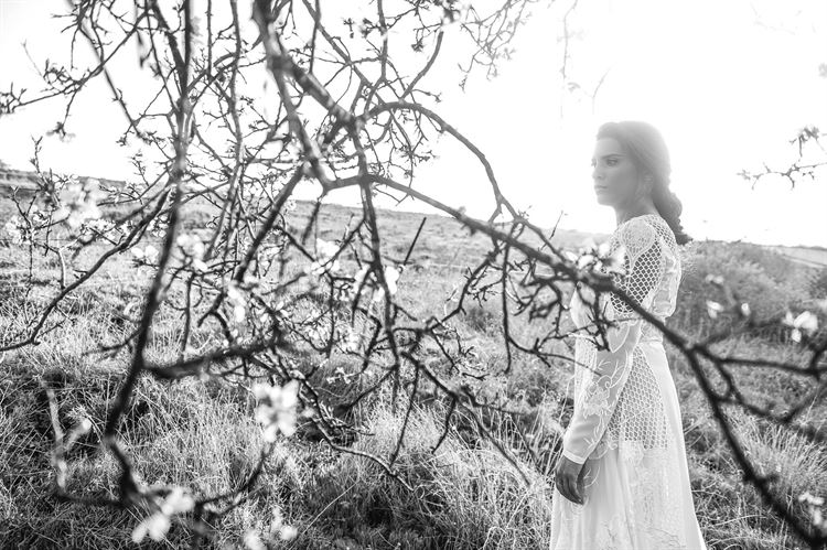 צפו: החתונה שהבעירה את העמק 3