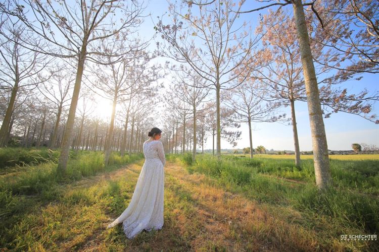 הצעת נישואים בלוקיישן מקורי במיוחד 11