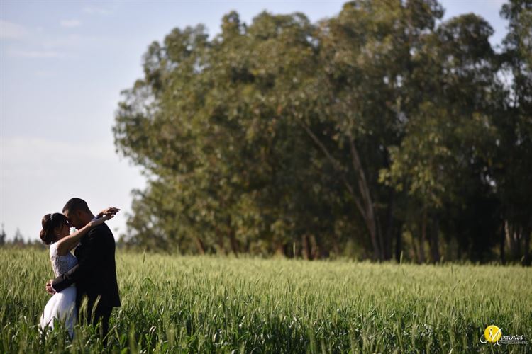 שווה הצצה: כך מרימים חתונה בלתי-נשכחת 3