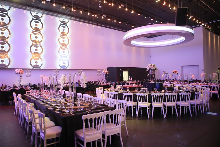 אסף גרניט משתתף בהצעת נישואים מפתיעה 14