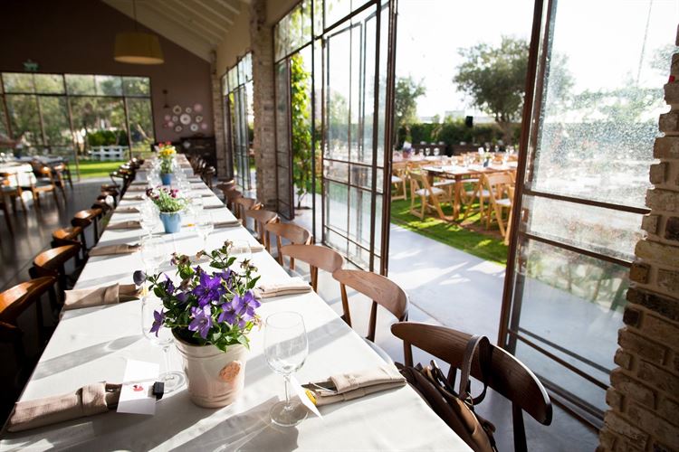 חתונת שישי בצהריים: כל מה שחשוב שתדעו 9