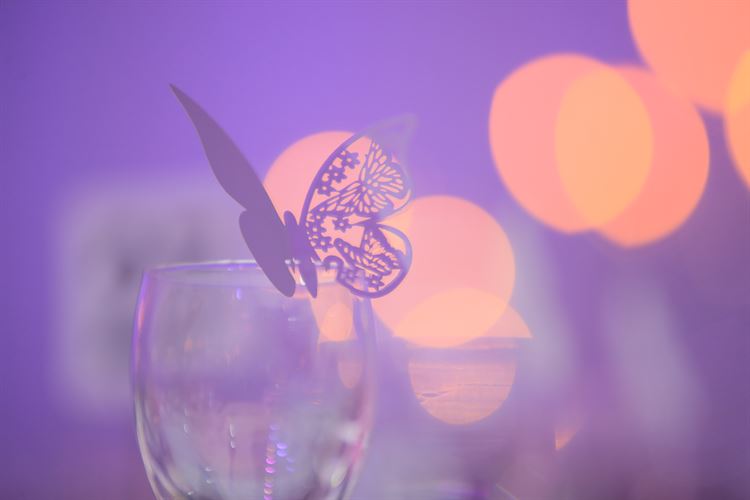 חתונה שתעשה לכם פרפרים בבטן 13